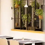 Coral Ocean View - Adults Only 4*